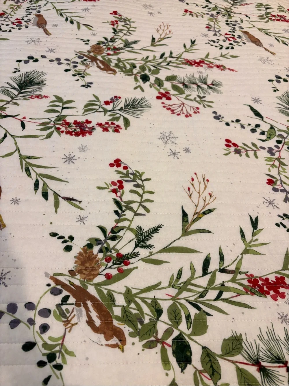 Levtex Home Joybirds King Quilt Reversible Christmas Holiday Bird Botanical